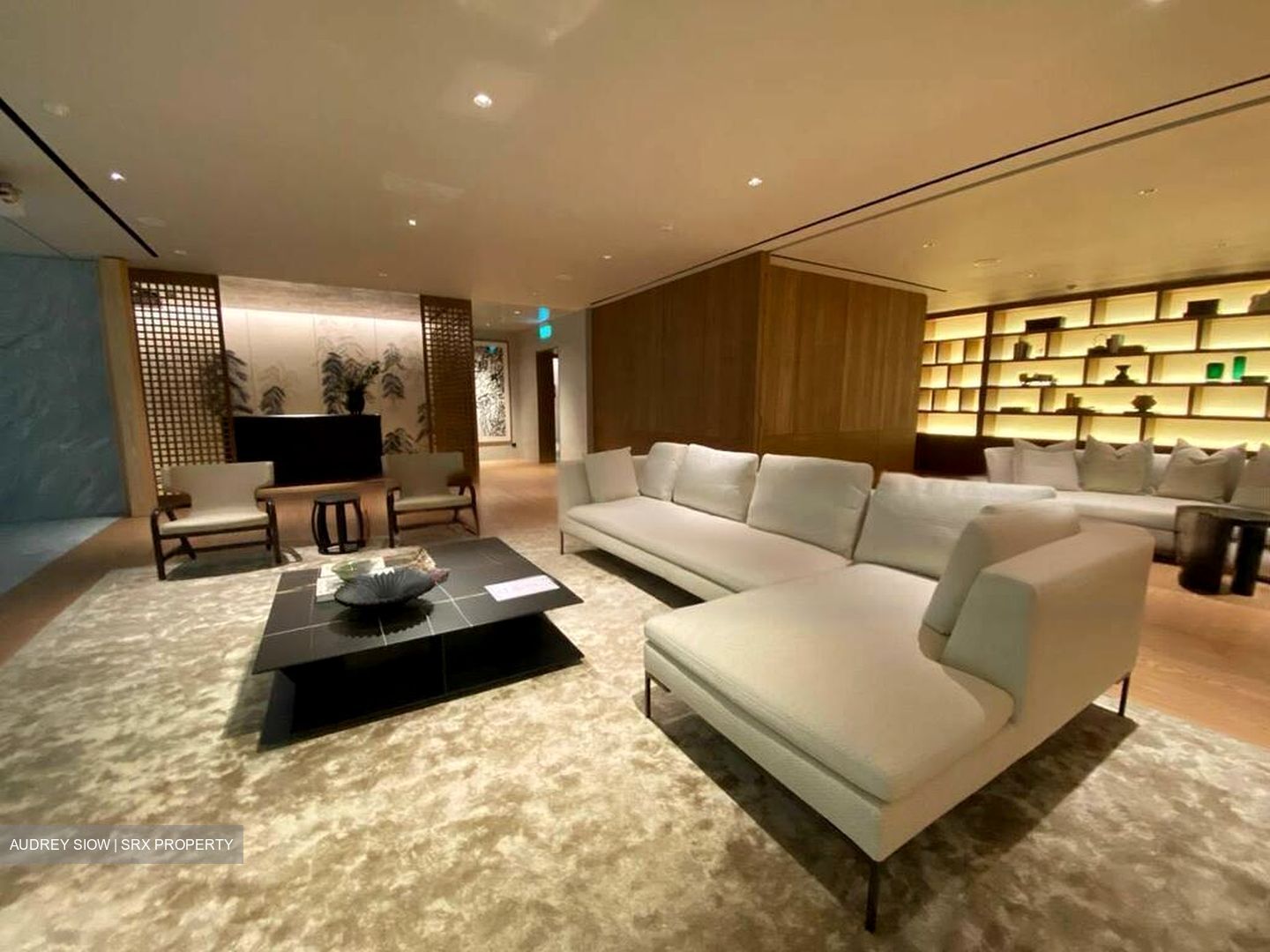21 Anderson (D10), Condominium #444584281